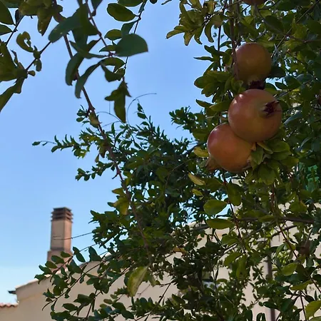Masseria Marziale Отель